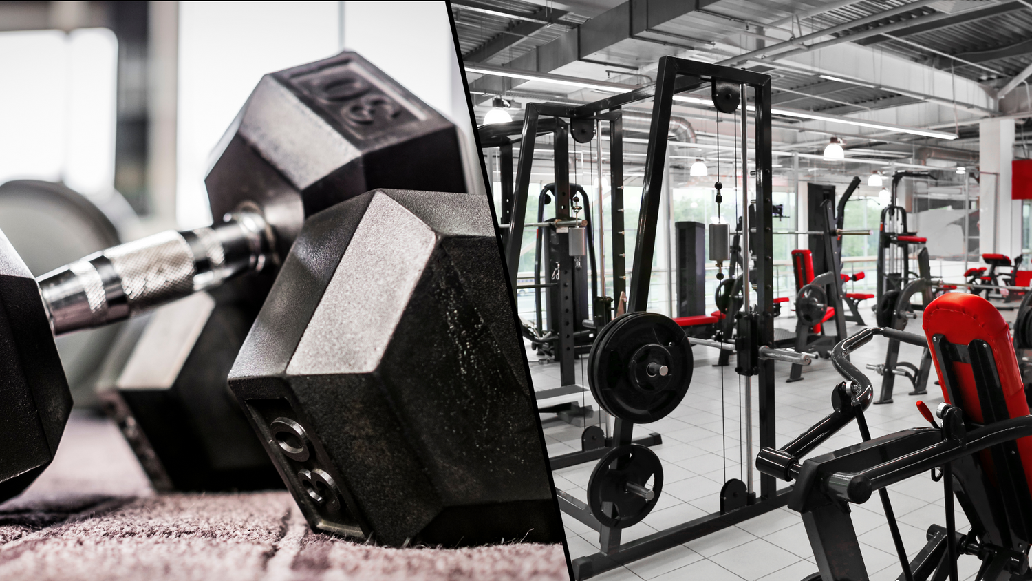 Free Weights vs Machines: Which Should You Use?