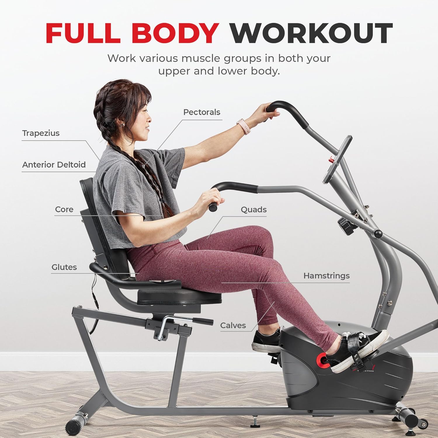 Sunny Health & Fitness Performance Interactive Recumbent Bike with Arm Exerciser