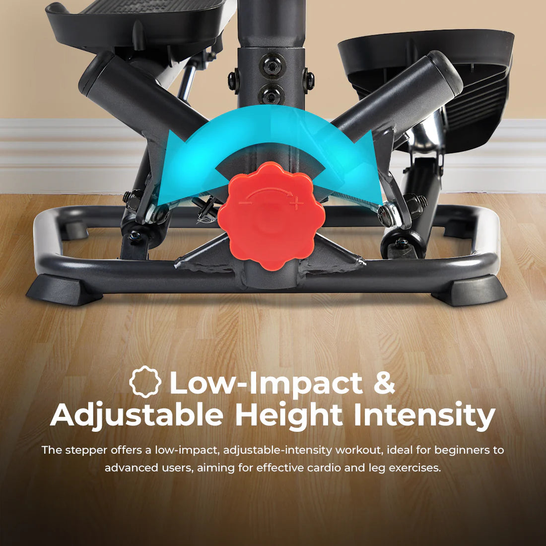 Smart Twist Stepper
