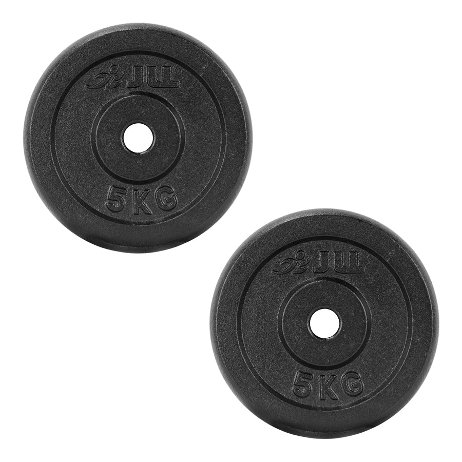 Cast Iron Weight Plates