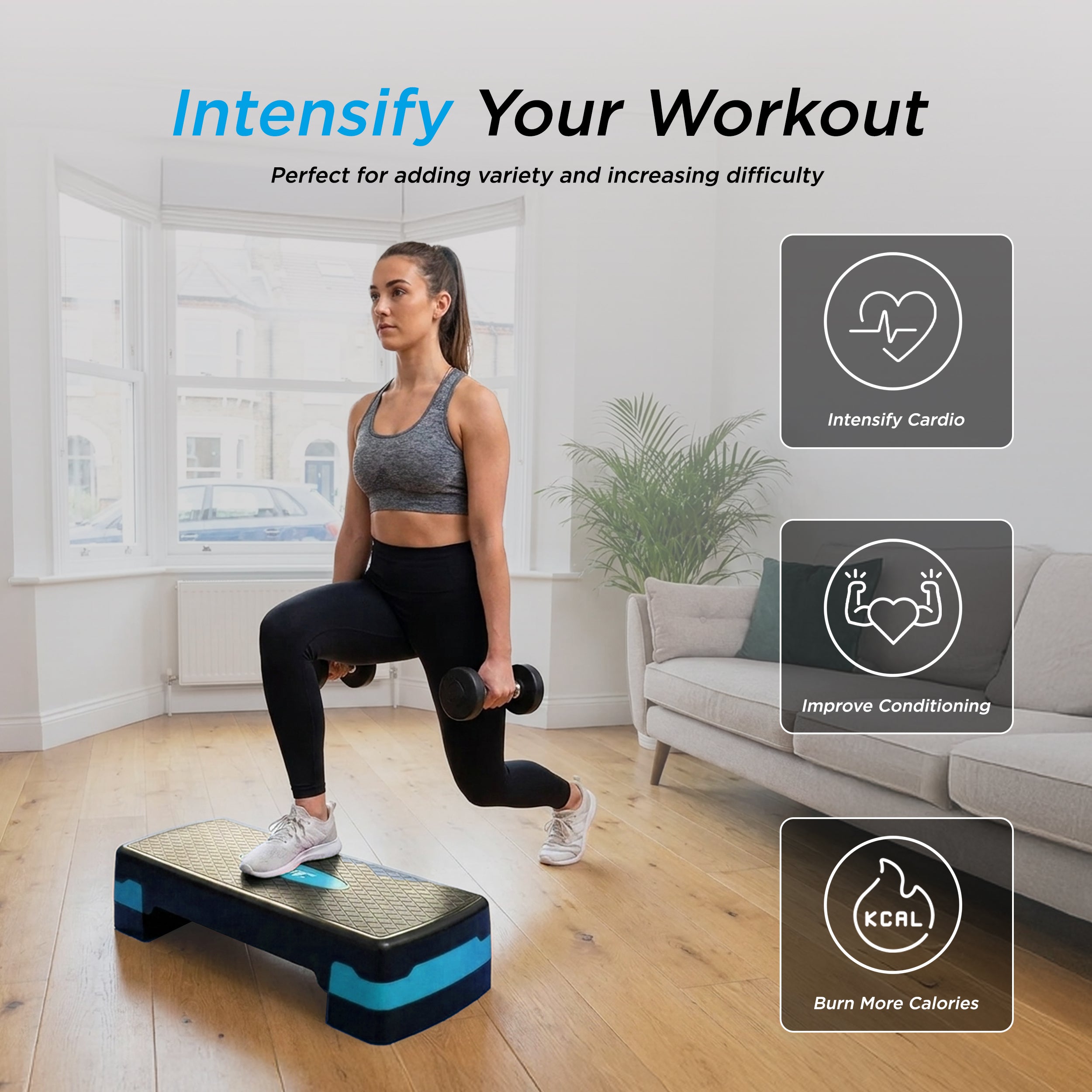 Aerobic Stepper
