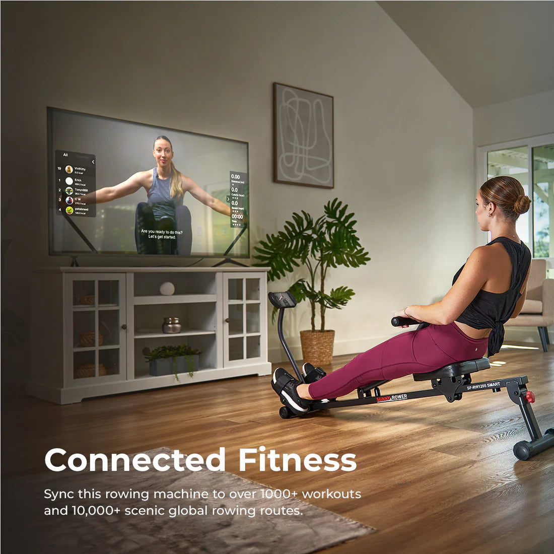 Smart Compact Hydraulic Rowing Machine